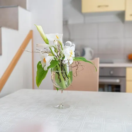 Bebe Apartment